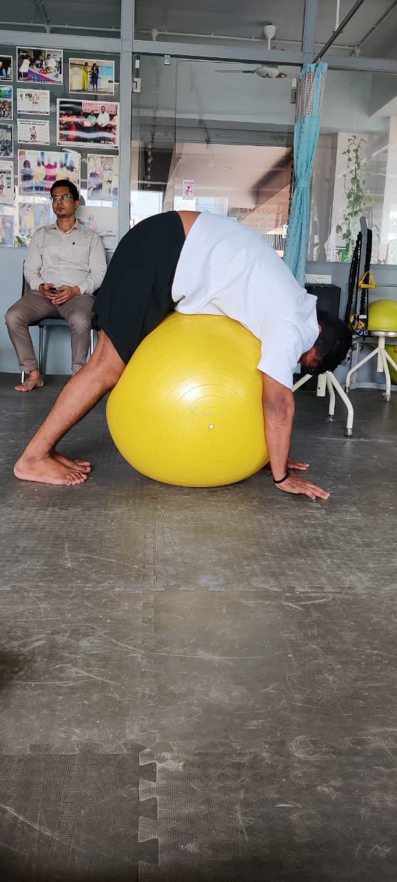 Exercise Ball Therapy